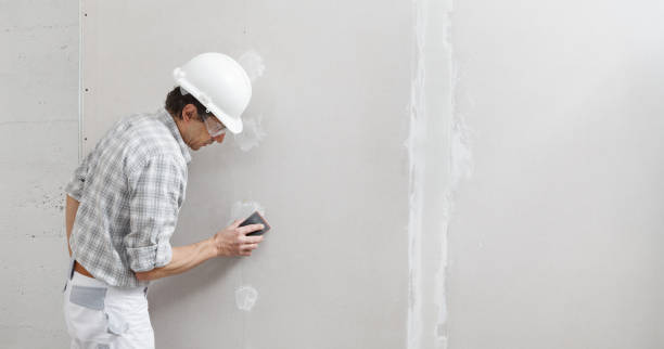 Best Black Mold Removal  in Old Saybrook Center, CT